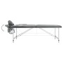 2-Zonen-Massageliege anthrazitfarbenes Aluminiumgestell 186x68 cm von vidaXL, Massageliegen - Ref: Foro24-110174, Preis: 168,...