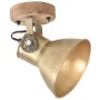 Industrial wall/ceiling lamps 2 pcs brass 20x25 cm E27 by , Lamps - Ref: Foro24-320509, Price: 57,66 €, Discount: %