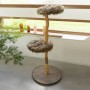 Designed by Lotte JAZZ wooden cat scratching post by Designed by Lotte, Cat furniture - Ref: Foro24-425576, Price: 279,89 €, ...