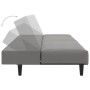 Sofá cama de 2 plazas terciopelo gris claro de , Sofás - Ref: Foro24-375926, Precio: 214,32 €, Descuento: %