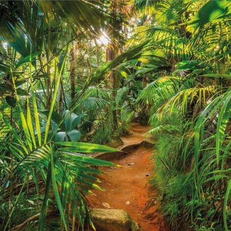 Komar Mural fotográfico Jungle Trail 368x254 cm de Komar, Papel pintado - Ref: Foro24-425268, Precio: 94,26 €, Descuento: %