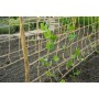 Nature für Weinpflanzen, Naturjute, 1 x 3 m von , Gartenzubehör - Ref: Foro24-447514, Preis: 14,58 €, Rabatt: %