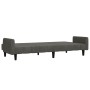 Sofá cama de 2 plazas terciopelo gris oscuro de , Sofás - Ref: Foro24-375775, Precio: 251,90 €, Descuento: %