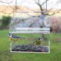 Esschert Design Acrylic Hanging Bird Feeder by Esschert Design, Bird feeders - Ref: Foro24-428844, Price: 20,95 €, Discount: %