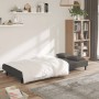 Two-seater sofa bed with two dark gray velvet pillows by , Sofas - Ref: Foro24-375808, Price: 229,50 €, Discount: %