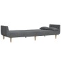 2-Sitzer-Schlafsofa mit zwei Kissen, hellgrauer Stoff von , Sofas - Ref: Foro24-375869, Preis: 261,99 €, Rabatt: %