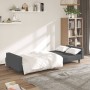 Sofá cama de 2 plazas terciopelo gris oscuro de , Sofás - Ref: Foro24-375938, Precio: 246,17 €, Descuento: %