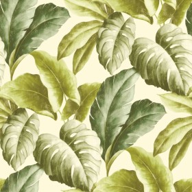 DUTCH WALLCOVERINGS Green and white tropical leaves wallpaper by DUTCH WALLCOVERINGS, Painted paper - Ref: Foro24-426248, Pri...