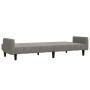 Sofá cama de 2 plazas terciopelo gris claro de , Sofás - Ref: Foro24-375774, Precio: 251,90 €, Descuento: %