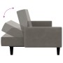 Sofá cama de 2 plazas terciopelo gris claro de , Sofás - Ref: Foro24-375774, Precio: 251,90 €, Descuento: %