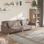 Sofá cama de 2 plazas con dos almohadas tela gris taupe de , Sofás - Ref: Foro24-375805, Precio: 254,02 €, Descuento: %