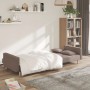 Two-seater sofa bed with two taupe gray fabric pillows. by , Sofas - Ref: Foro24-375805, Price: 254,02 €, Discount: %