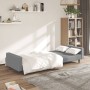 Sofá cama de 2 plazas terciopelo gris claro de , Sofás - Ref: Foro24-375937, Precio: 242,99 €, Descuento: %