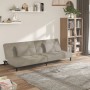 Sofá cama de 2 plazas con dos almohadas terciopelo gris claro de , Sofás - Ref: Foro24-375807, Precio: 229,10 €, Descuento: %