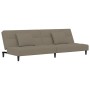 Sofá cama de 2 plazas con dos almohadas terciopelo gris claro de , Sofás - Ref: Foro24-375807, Precio: 229,10 €, Descuento: %