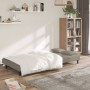 Sofá cama de 2 plazas con dos almohadas terciopelo gris claro de , Sofás - Ref: Foro24-375807, Precio: 229,10 €, Descuento: %