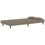 Sofá cama de 2 plazas con dos almohadas terciopelo gris claro de , Sofás - Ref: Foro24-375807, Precio: 229,10 €, Descuento: %