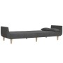 Sofá cama de 2 plazas con dos almohadas tela gris oscuro de , Sofás - Ref: Foro24-375870, Precio: 257,34 €, Descuento: %