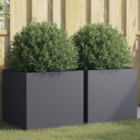 Jardineras 2 uds acero laminado en frío antracita 49x47x46 cm de , Maceteros y jardineras - Ref: Foro24-841564, Precio: 136,0...