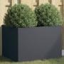 Anthracite cold rolled steel planter 62x47x46 cm by , Pots and planters - Ref: Foro24-841603, Price: 83,78 €, Discount: %