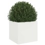 Jardinera de acero laminado en frío blanco 32x30x29 cm de , Maceteros y jardineras - Ref: Foro24-841537, Precio: 37,20 €, Des...