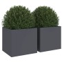 Planters 2 pcs anthracite cold rolled steel 32x30x29 cm by , Pots and planters - Ref: Foro24-841540, Price: 58,69 €, Discount: %