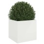 Jardinera de acero laminado en frío blanco 49x47x46 cm de , Maceteros y jardineras - Ref: Foro24-841561, Precio: 58,91 €, Des...