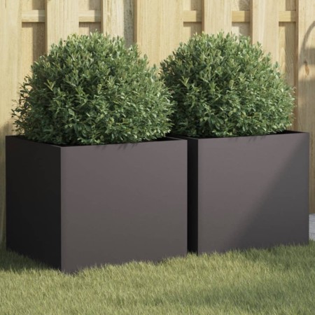 Jardineras 2 unidades acero laminado en frío negro 42x40x39 cm de , Maceteros y jardineras - Ref: Foro24-841548, Precio: 67,5...