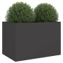 Jardinera de acero laminado en frío negro 62x40x39 cm de , Maceteros y jardineras - Ref: Foro24-841595, Precio: 60,55 €, Desc...