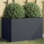 Anthracite cold rolled steel planter 62x40x39 cm by , Pots and planters - Ref: Foro24-841597, Price: 101,77 €, Discount: %