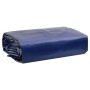 Lona azul 5x8 m 650 g/m² de , Lonas impermeables - Ref: Foro24-156178, Precio: 208,29 €, Descuento: %