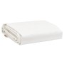 Lona blanca 2,5x4,5 m 650 g/m² de , Lonas impermeables - Ref: Foro24-156069, Precio: 78,34 €, Descuento: %