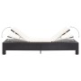 Sun lounger with black synthetic rattan cushion by vidaXL, Loungers - Ref: Foro24-46234, Price: 143,58 €, Discount: %