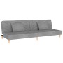 Sofá cama de 2 plazas con dos almohadas tela gris claro de , Sofás - Ref: Foro24-375887, Precio: 229,78 €, Descuento: %