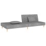 Sofá cama de 2 plazas con dos almohadas tela gris claro de , Sofás - Ref: Foro24-375887, Precio: 229,78 €, Descuento: %