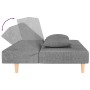 Sofá cama de 2 plazas con dos almohadas tela gris claro de , Sofás - Ref: Foro24-375887, Precio: 229,78 €, Descuento: %