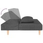 Sofá cama de 2 plazas con dos almohadas tela gris oscuro de , Sofás - Ref: Foro24-375888, Precio: 224,06 €, Descuento: %