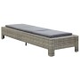 Tumbona con cojín de ratán sintético gris de vidaXL, Tumbonas - Ref: Foro24-46236, Precio: 156,30 €, Descuento: %