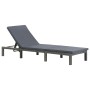 Lounger with anthracite gray synthetic rattan cushion by vidaXL, Loungers - Ref: Foro24-47752, Price: 135,18 €, Discount: %