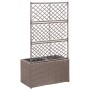 Trellis and flowerbed 2 pots brown synthetic rattan 58x30x107cm by vidaXL, Pots and planters - Ref: Foro24-46937, Price: 90,6...