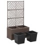 Trellis and flowerbed 2 pots brown synthetic rattan 58x30x107cm by vidaXL, Pots and planters - Ref: Foro24-46937, Price: 90,6...