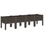 Planter with brown PP legs 160x40x42 cm by , Pots and planters - Ref: Foro24-367905, Price: 87,73 €, Discount: %