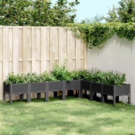 Jardinera con patas PP negro 200x160x42 cm de , Maceteros y jardineras - Ref: Foro24-367913, Precio: 148,99 €, Descuento: %