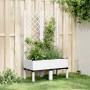 Jardinera con enrejado PP blanco 80x40x142 cm de , Maceteros y jardineras - Ref: Foro24-367924, Precio: 70,68 €, Descuento: %