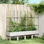 Planter with white PP trellis 160x40x142.5 cm by , Pots and planters - Ref: Foro24-367964, Price: 89,36 €, Discount: %