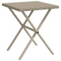 Sonnenliegen mit Tisch 2 Einheiten hellgraues synthetisches Rattan von , Liegen - Ref: Foro24-368256, Preis: 241,26 €, Rabatt: %