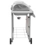 Barbacoa de gas con 6 fogones plateada de , Barbacoas - Ref: Foro24-3053632, Precio: 289,72 €, Descuento: %