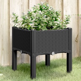 Planter with legs PP black 40x40x42 cm by , Pots and planters - Ref: Foro24-367888, Price: 31,99 €, Discount: %