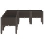 Planter with brown PP legs 160x120x42 cm by , Pots and planters - Ref: Foro24-367910, Price: 121,25 €, Discount: %