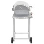 Portable gas barbecue with 2 zones silver stainless steel by , Barbecues - Ref: Foro24-276149, Price: 148,29 €, Discount: %